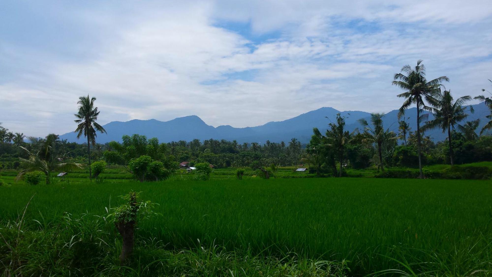 Pondok Manis Singaraja Exteriér fotografie