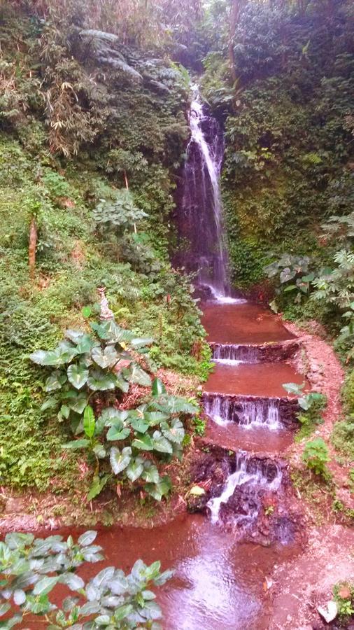 Pondok Manis Singaraja Exteriér fotografie