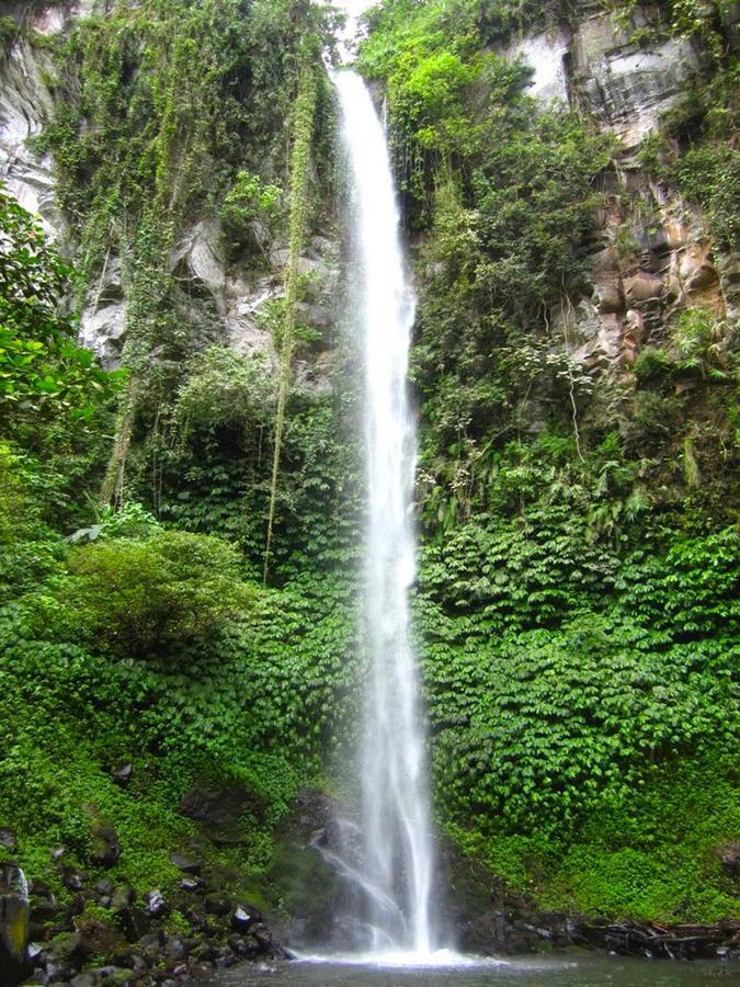 Pondok Manis Singaraja Exteriér fotografie