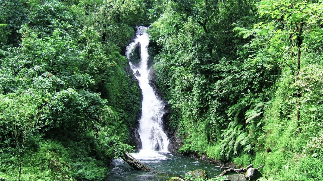 Pondok Manis Singaraja Exteriér fotografie